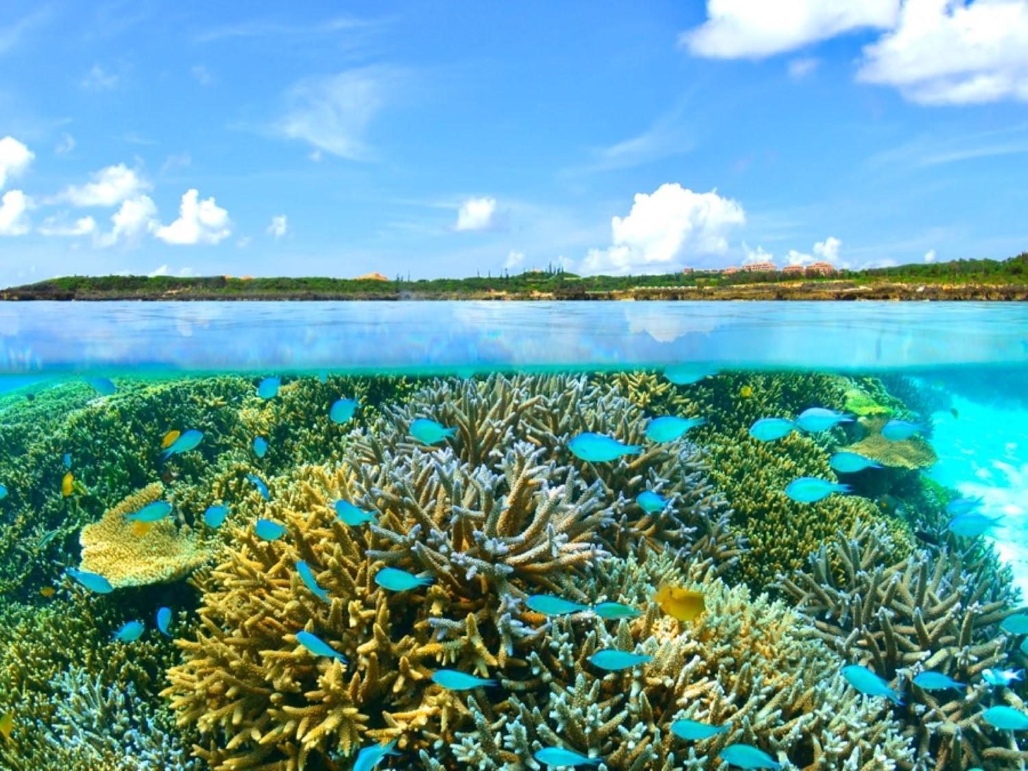 Hotel Shigira Mirage Miyakojima  Kültér fotó