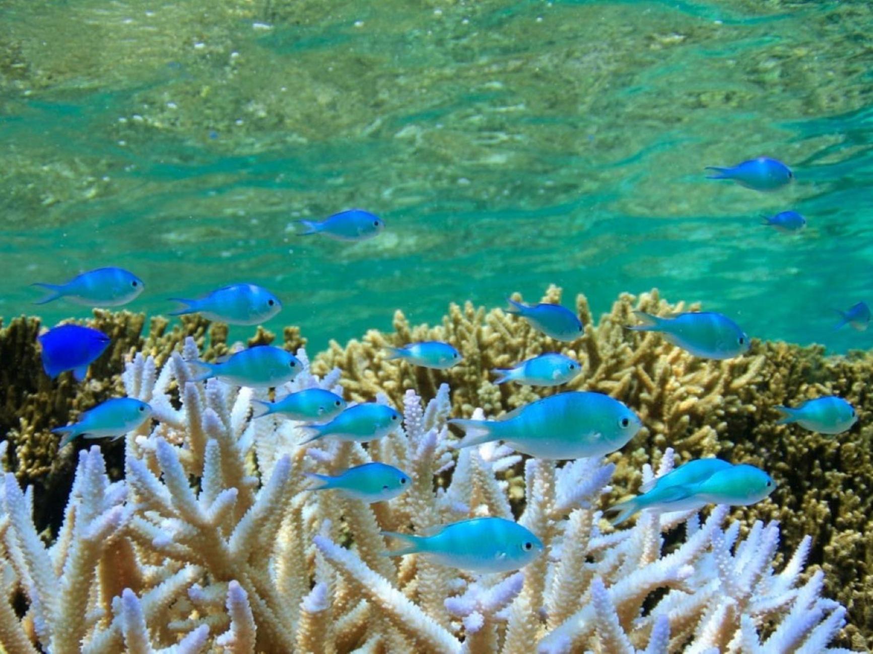 Hotel Shigira Mirage Miyakojima  Kültér fotó